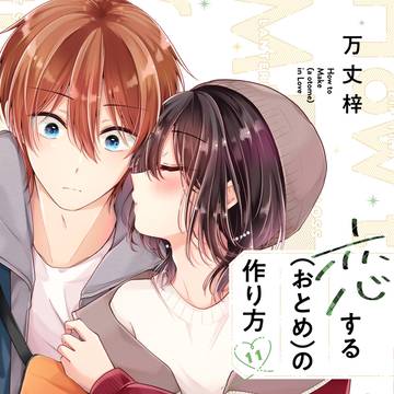 恋する(おとめ)の作り方11巻・11/25発売！