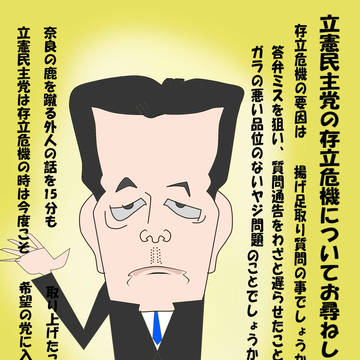 立嫌眠守存立危機の要件について 岡田克也