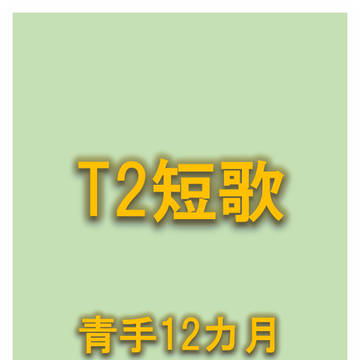 T2短歌　青手12か月