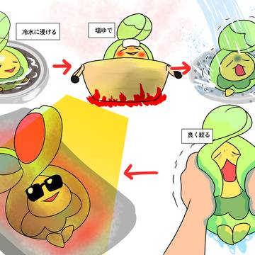 スボミーの下ごしらえ