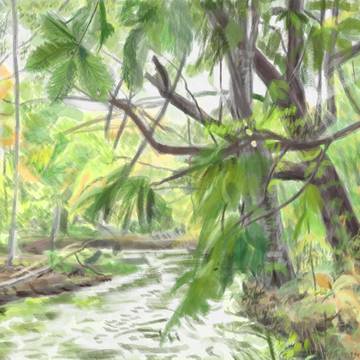 奥入瀬渓流