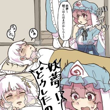 妖夢、風邪を引く