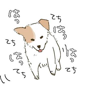 鯨まとめ