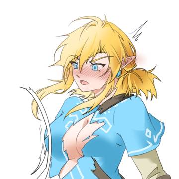 ゼルダの伝説 リンク 女体化 4