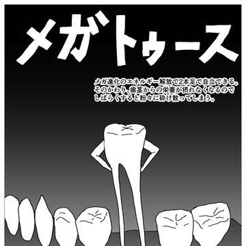 メガトゥース
