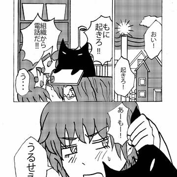 ネコ管理官