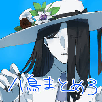 八鳥まとめ3