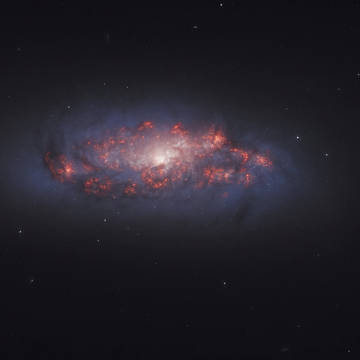 咲き誇る花のような渦巻銀河・NGC 972