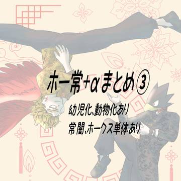 ホー常まとめ+α➂