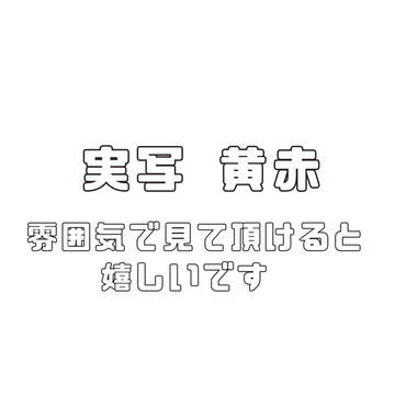 実写 黄赤