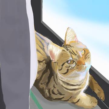 練習