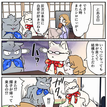 【ブラ猫⑧部 猫ブラザーズ編】 8話目
