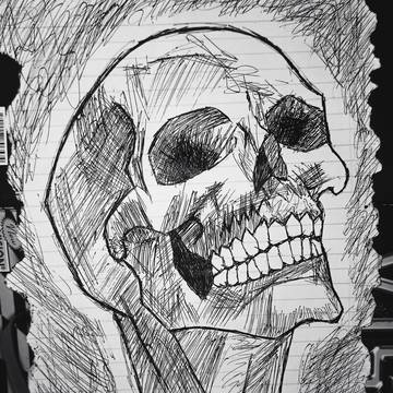 Skull