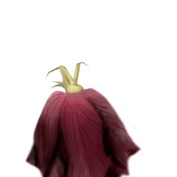 枯れゆく薔薇