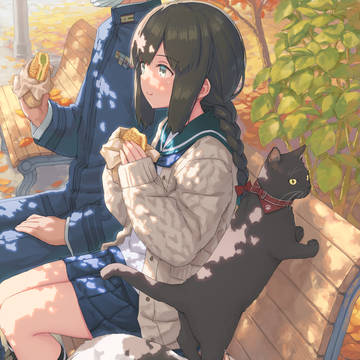 猫と磯波
