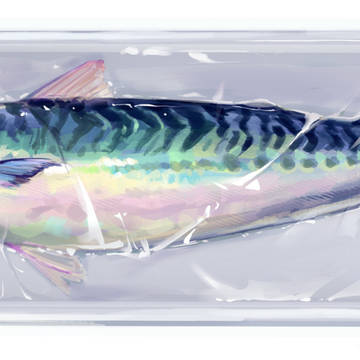 魚