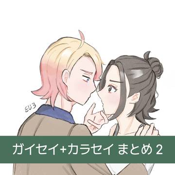 ガイセイ+カラセイ まとめ 2