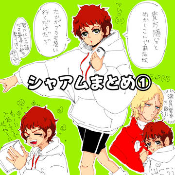 シャアムまとめ①