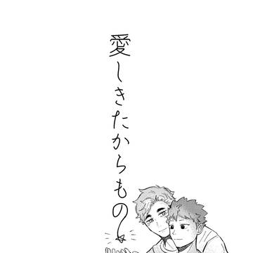 愛しきたからもの
