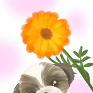 お花ー