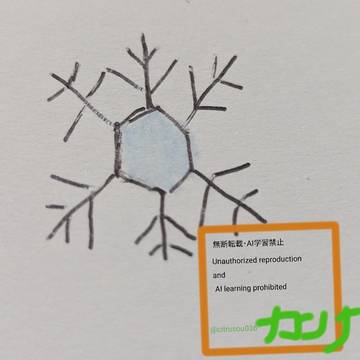 雪の結晶