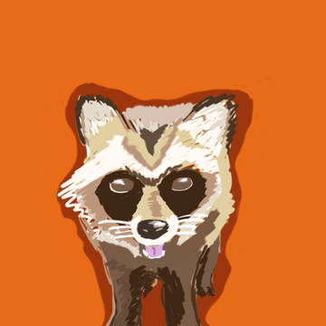 たぬき raccoon dog