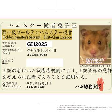 冬コミ販売グッズ