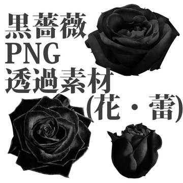 【フリー】黒薔薇PNG透過素材【透過素材】