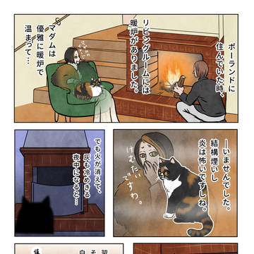 日本の冬とポーランドの冬の違い