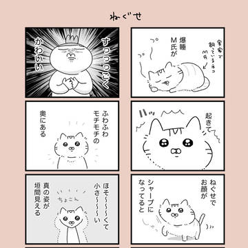 ねぐせ