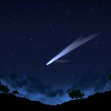 Halley's Comet
