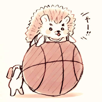 すとの森へようこそ5