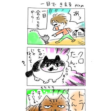 一目できまる