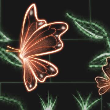 🦋