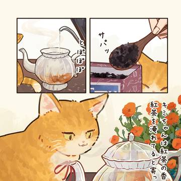 ティータイム🐈🫖