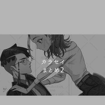 カラセイまとめ2