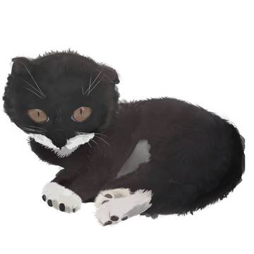 ぬっこ
