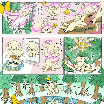 ちょうちょうとなみだ