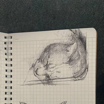 ねこスケッチ