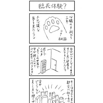臨死体験？