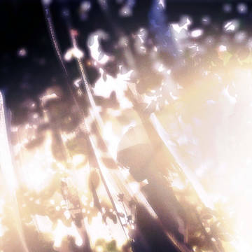 新作《让光照耀》