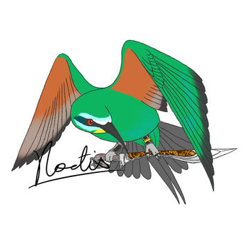 Blue-cheeked Bee-eater