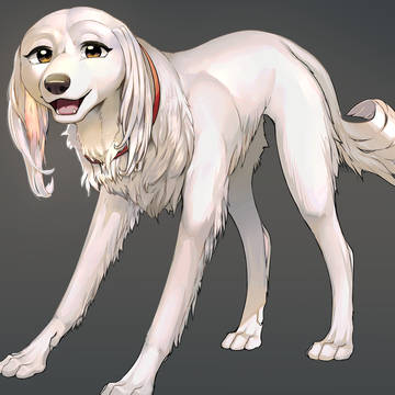 クロス
