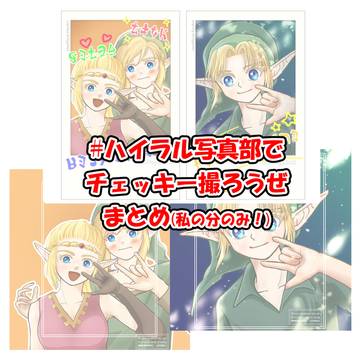 ハイラル写真部でチェッキー撮ろうぜ