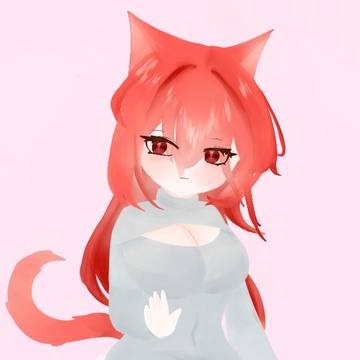 고양이