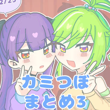 カミつぼまとめ3