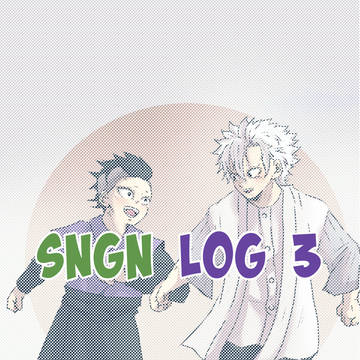 sngn log③