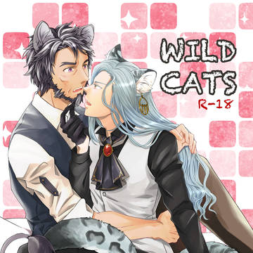 【新刊サンプル】WILDCATS(館ファ)