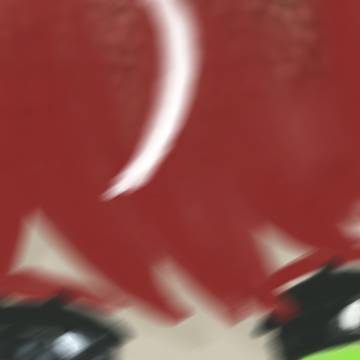 シオンぬい