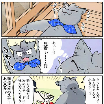 【ブラ猫⑧部 猫ブラザーズ編】 11話目